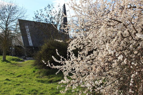 Obstfelder in Mainz-Drais