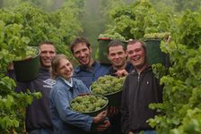 Bildergalerie GWC Jungwinzerin und Jungwinzer bei der Weinlese Jungwinzerin und Jungwinzer in Rheinhessen - gemeinsam stark für Qualität.