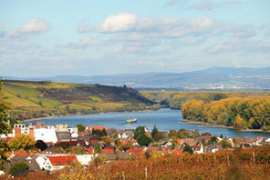 Rhein bei Nierstein © Carsten Costard