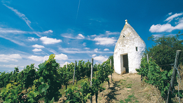 Weinbergshäuschen