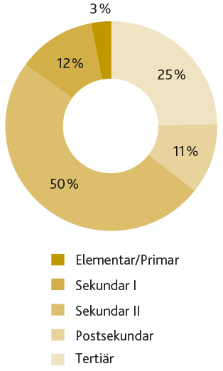 Grafik Bildungsstand