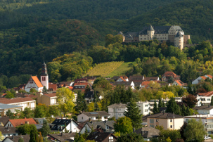 Die Kurstadt Bad Münster am Stein-Ebernburg - Foto: Dominik Ketz © Rheinland-Pfalz Tourismus GmbH