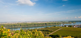 Blick auf Nierstein am Rhein (Roter Hang) - Foto: Dominik Ketz © Rheinland-Pfalz Tourismus GmbH