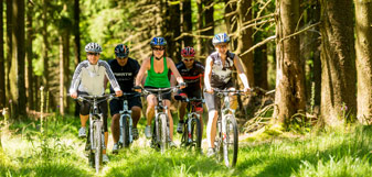 Mitten durch den Wald - Foto: Dominik Ketz © Rheinland-Pfalz Tourismus GmbH