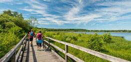 Paar beim Radfahren am Dreifelder Weiher - Foto: Dominik Ketz © Rheinland-Pfalz Tourismus GmbH