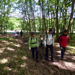 Botanische Wanderung 2014 - Marsch durch den Wald