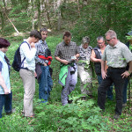 Botanische Wanderung 2015 - Gruppe begutachtet die Einbeere