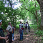 Botanische Wanderung 2015 - Gruppe begutachtet Liane