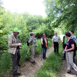 Botanische Wanderung 2015 - Julius Becker erklärt Pflanzen