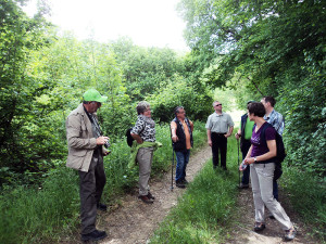 Botanische Wanderung 2015