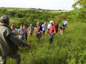 Botanische Wanderung 2016