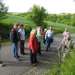 Botanische Wanderung 2016 - Julius Becker erklärt Pflanzen