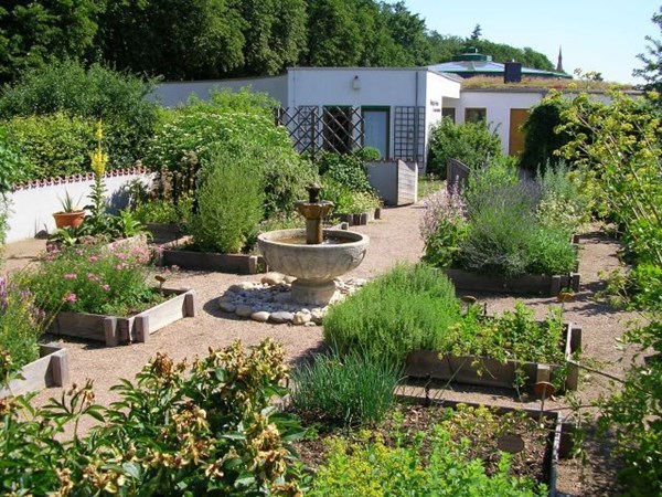 Garten Hildegardforum