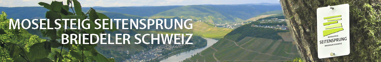 Moselsteigseitensprung BriedelerSchweiz