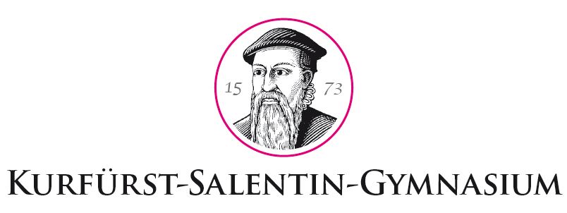 logo salentin