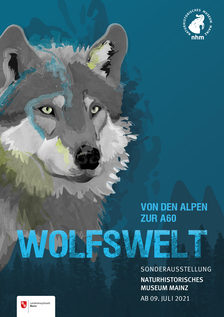 WOLFSWELT - Von den Alpen zur A60