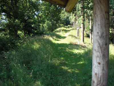 Wanderweg im Stadtwald