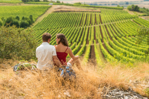 Die Weinberge Rheinhessens (Wöllstein) - Foto: Dominik Ketz © Rheinland-Pfalz Tourismus GmbH