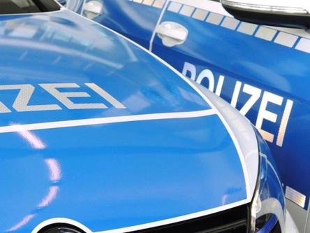 Polizeiautos. Symbolfoto: dpa