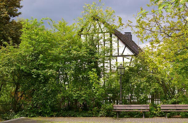 Fachwerk in Steinebach