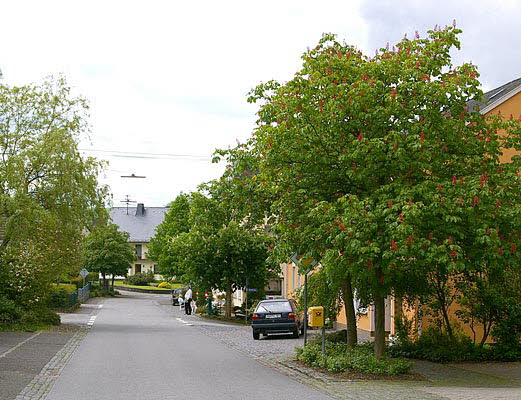 Hachenburger Str. (Mitte)