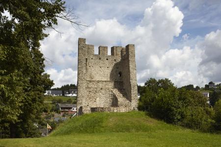 Burgruine der Dasburg