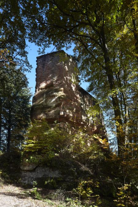 Eine im Schatten von Bäumen liegende Burgruine