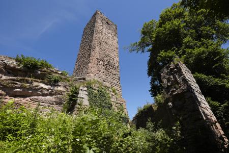 Hoher, rechteckiger Turm einer Burgruine