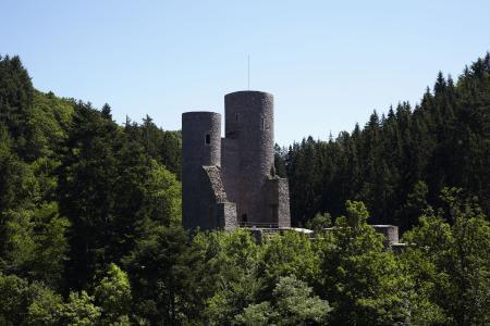 Burg mit zwei Türmen umgeben von Bäumen