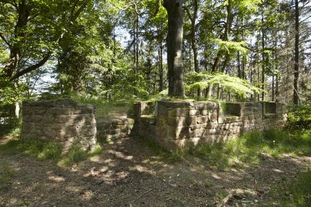 Bewachsene Ruine eines Steinhauses