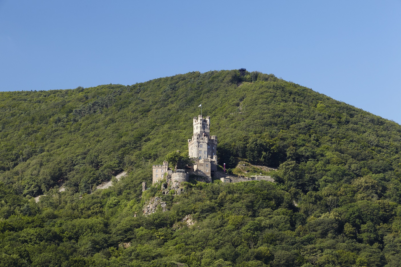 Burg an einem Berghang, umgeben von Bäumen 