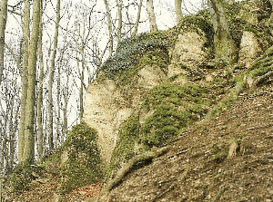 Kreidefelsen in der Boschern.