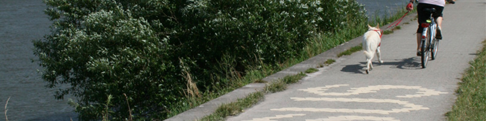 Fahrradfahrer mit Hund auf Promenade neben Fluss