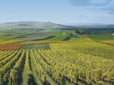 Weinlandschaften in Rheinhessen, Foto: Klaus Baranenko, Worms