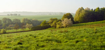 Blick über das Vinxtbachtal - Foto: Dominik Ketz © Rheinland-Pfalz Tourismus GmbH