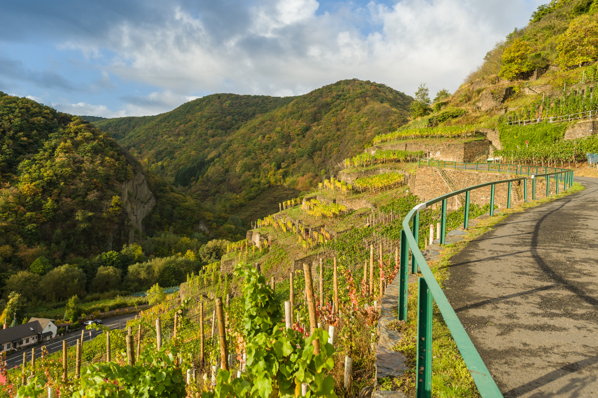 Weinberge bei Walporzheim