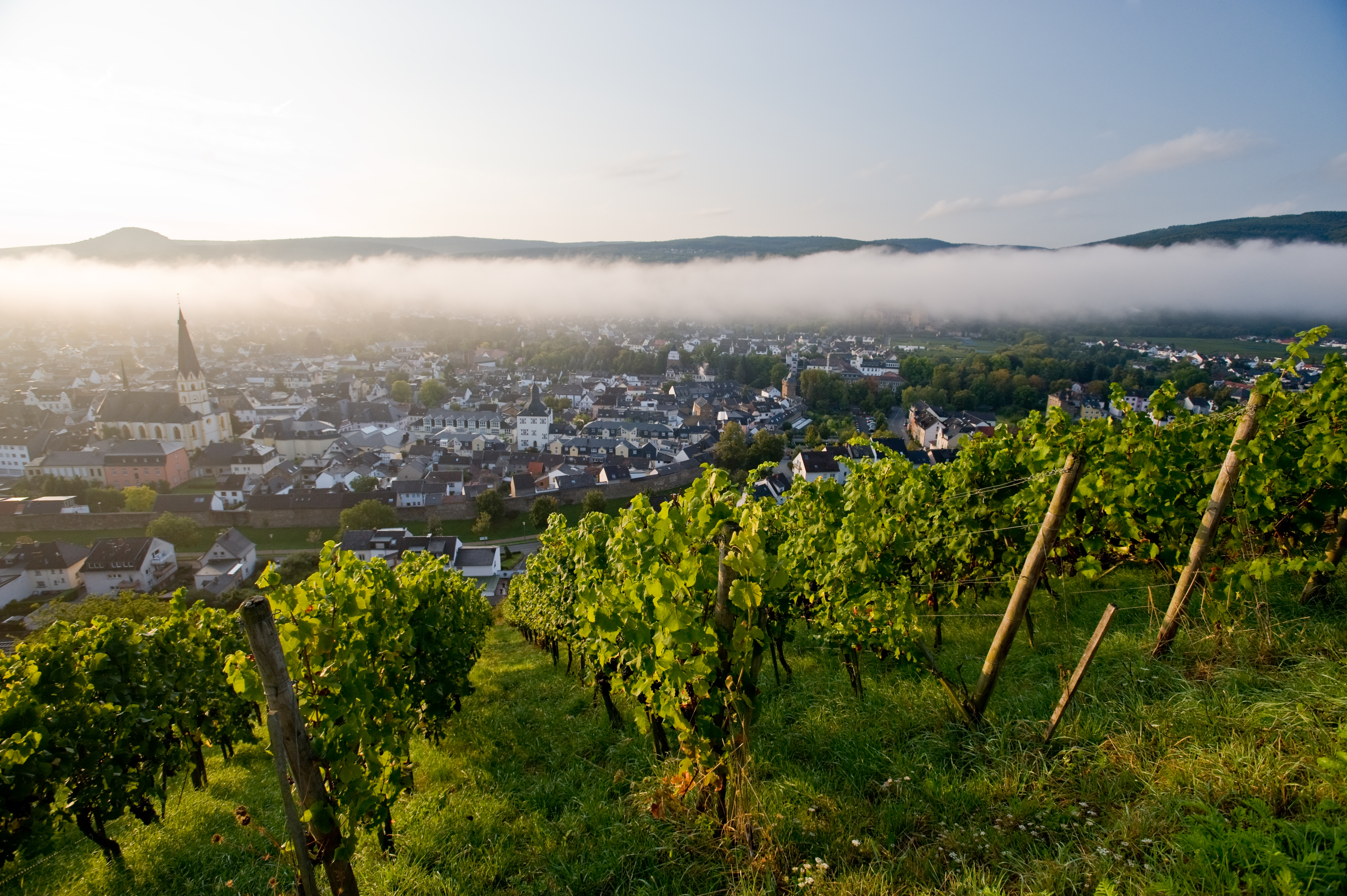 Blick von den Weinbergen auf Bad Neuenahr-Ahrweiler