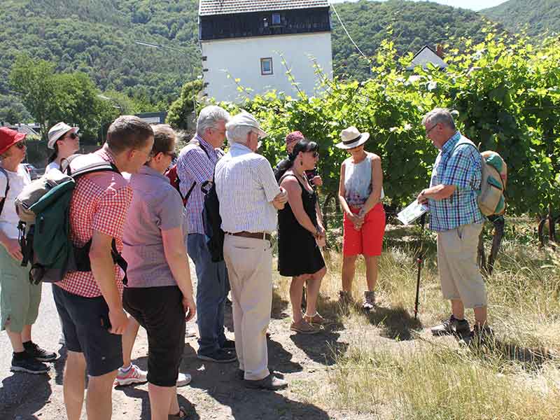 Weinlagenwanderung 2019