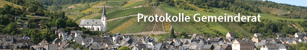 Protokolle Gemeinderat