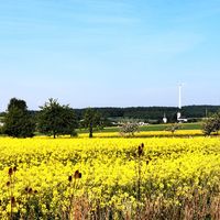 Blick auf Biebern - Windrder und Kirchtrme