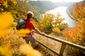 Wanderer auf dem Rheinsteig © Foto: Dominik Ketz, Quelle: Rheinland-Pfalz Tourismus GmbH