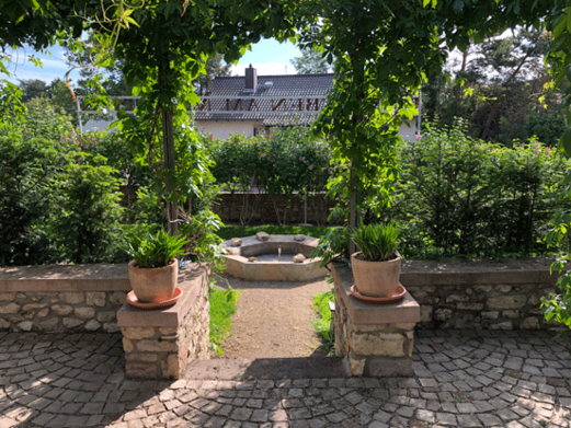 Blick aus der Nähe: die Weinlaube