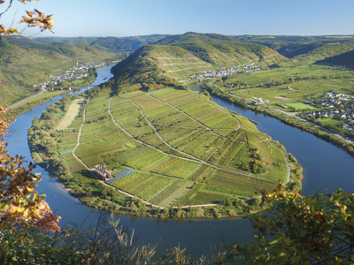 Calmont-Region: Blick auf Neef, Bremm und Ediger-Eller © Petra Stüning