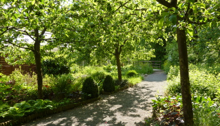 Garten der Schmetterlinge