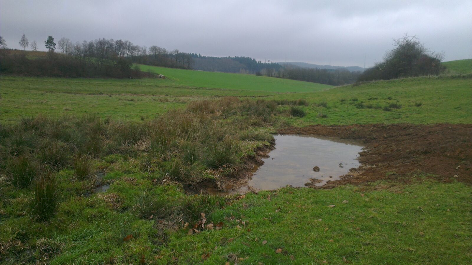 Erste Flachwasserteiche ausgehoben