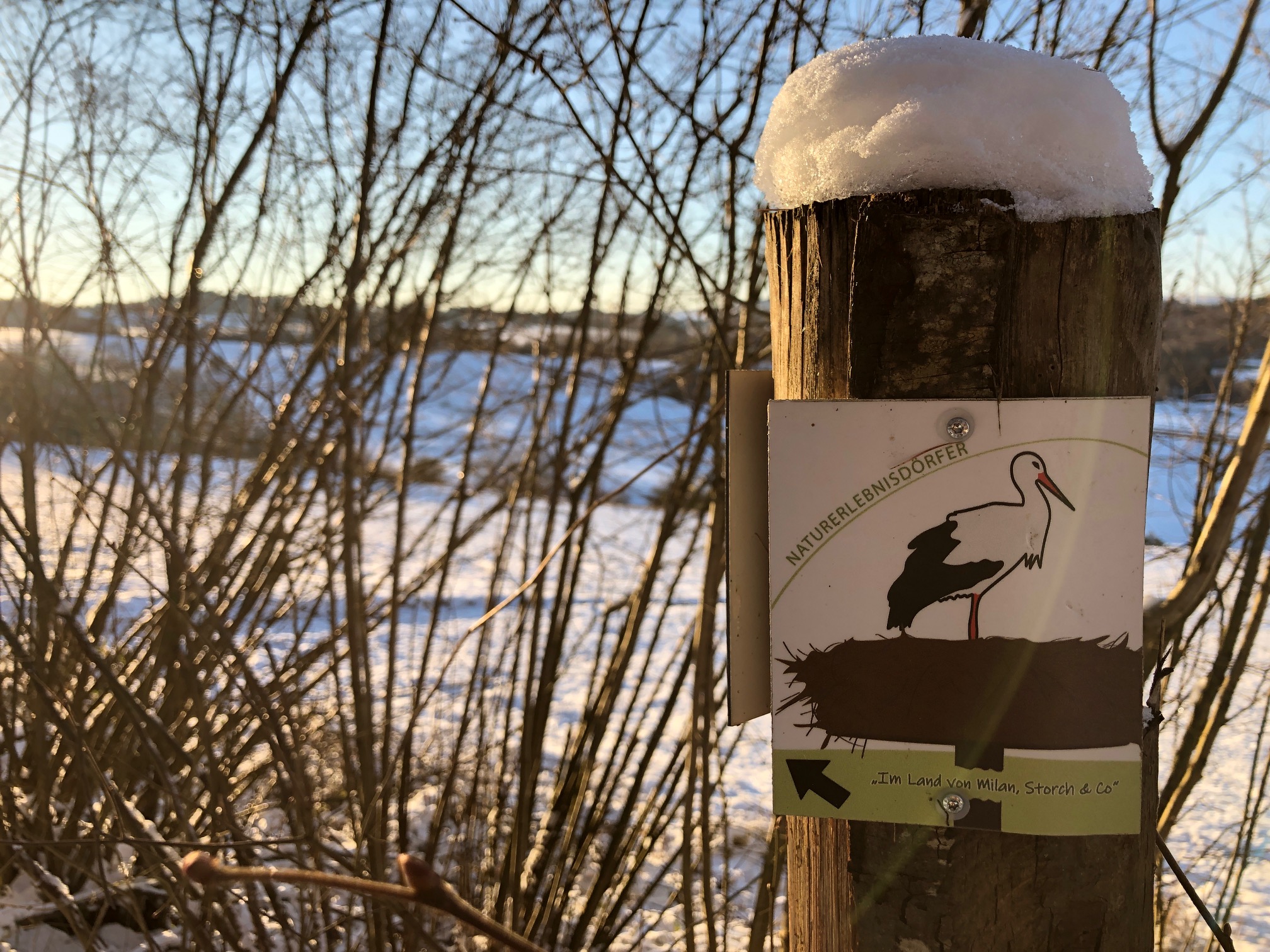 Bilder des Wanderweges "Im Land von Milan, Storch und Co."