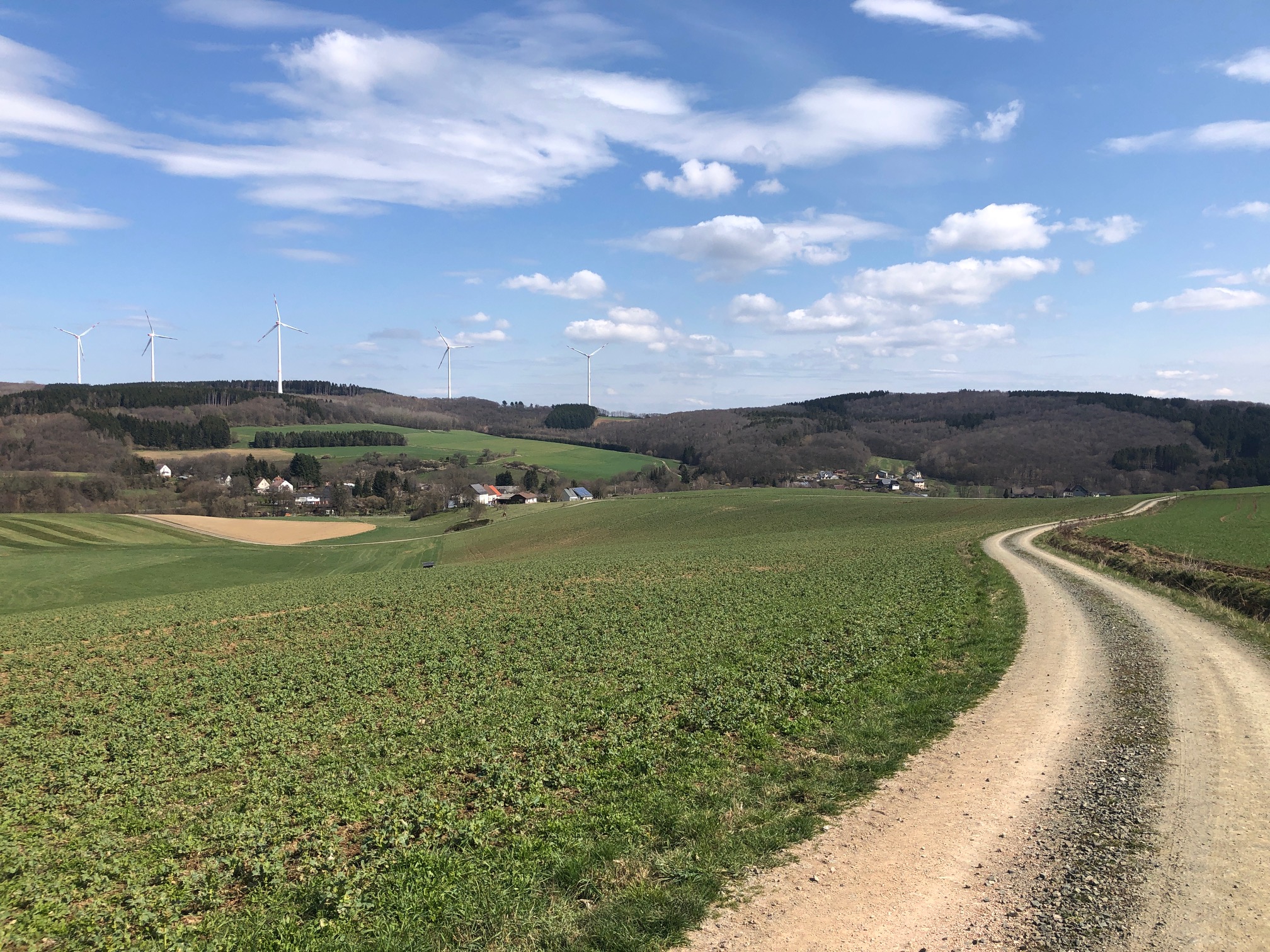 Bilder des Wanderweges "Im Land von Milan, Storch und Co."