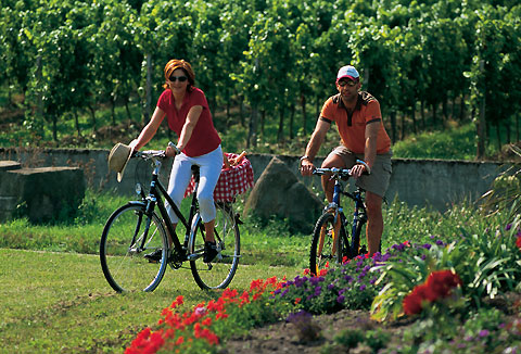 Radtour in den Weinbergen