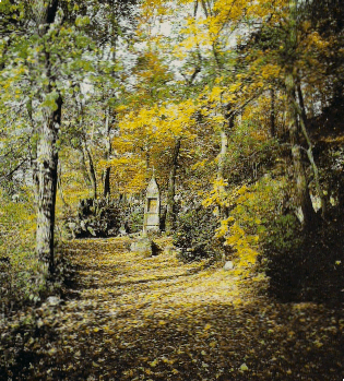 Kreuzweg im Herbst (Foto: Paul Klein, Adenau)