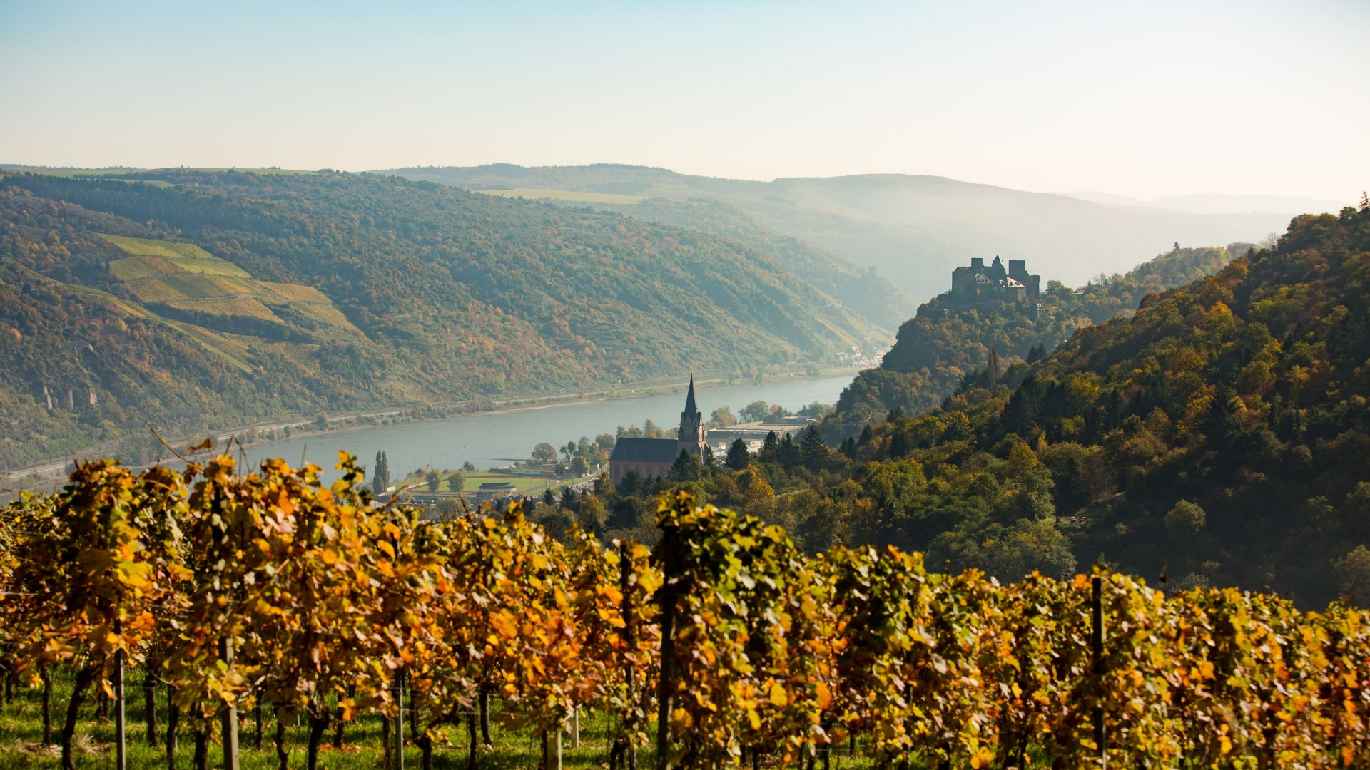 Blick über Oberwesel | © Henry Tornow